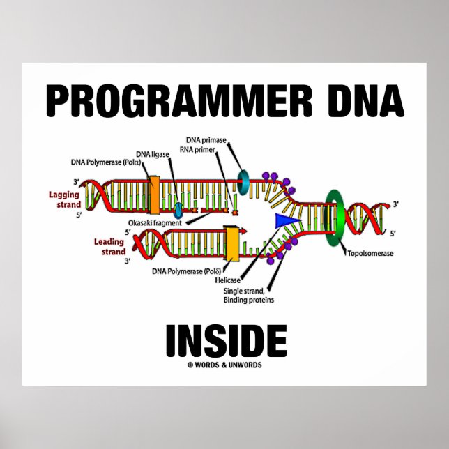 Programmer DNA Inside (DNA Replication) Poster (Front)