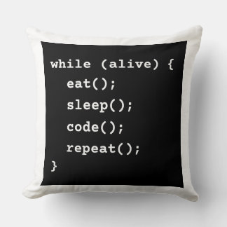 Programmer Life Cycle Loop (while loop) Cushion