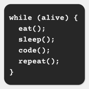 Programmer Life Cycle Loop (while loop) Square Sticker