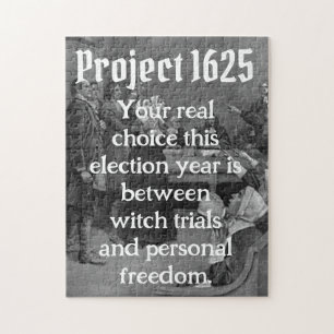 Project 1625  jigsaw puzzle
