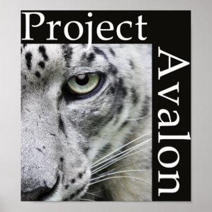 Project Avalon Poster (Dark)