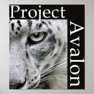 Project Avalon Poster (Dark)