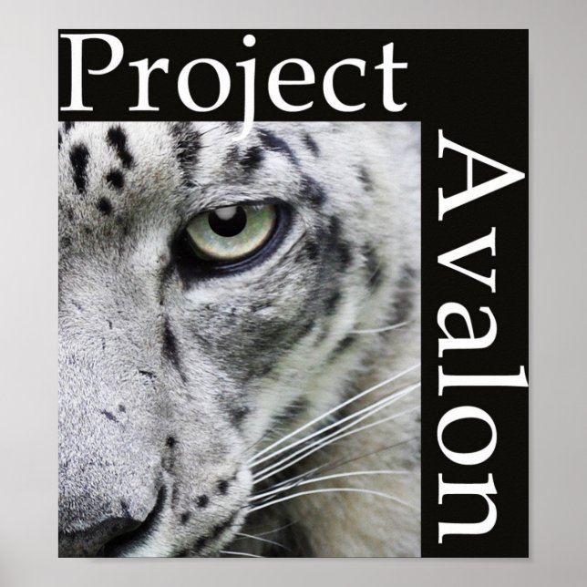 Project Avalon Poster (Dark) (Front)