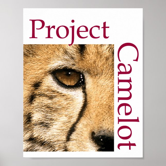 PROJECT CAMELOT Poster (Front)