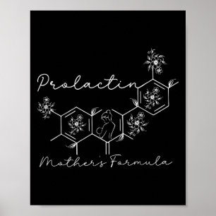 Prolactin Mothers Formula Lactation Nurse Labor An Poster