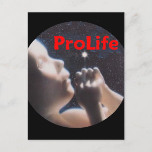 ProLife Postcard