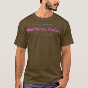 ProLife ProBabies ProFamilies All Have Value T-Shirt