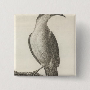 Promerops or Bee Eater of California 15 Cm Square Badge