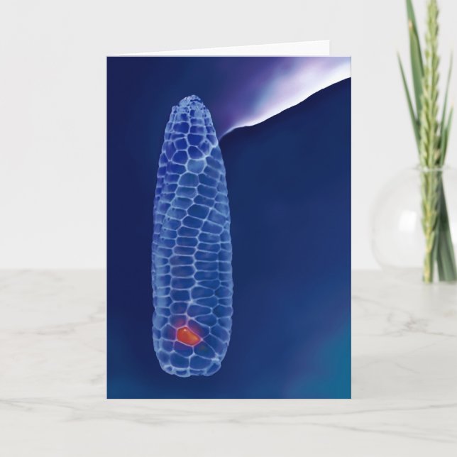 Prometheus (card) card (Front)