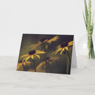 Promise 1 Black-eyed Susans Photography Blank Card