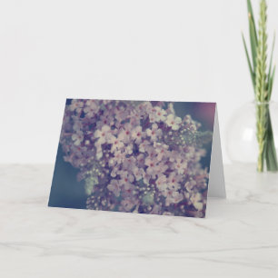 Promise 2 Lilac Flower Photography Blank Card