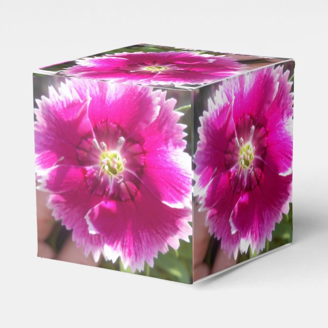 Promise Favour Box (Front Side)