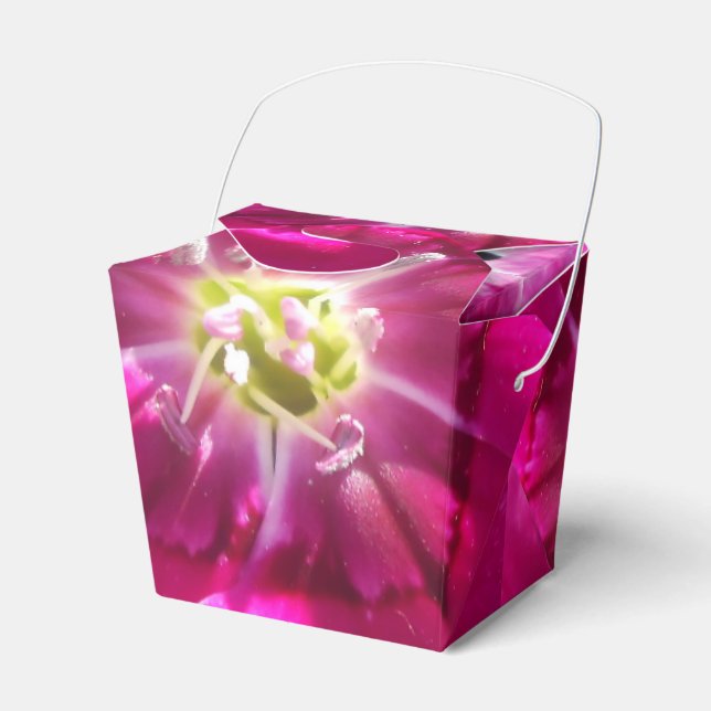 Promise Favour Box (Front Side)