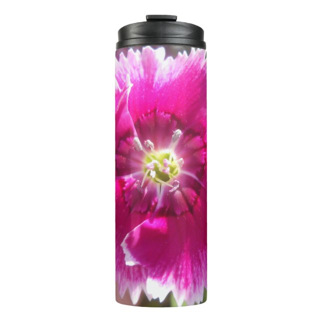 Promise Thermal Tumbler (Front)