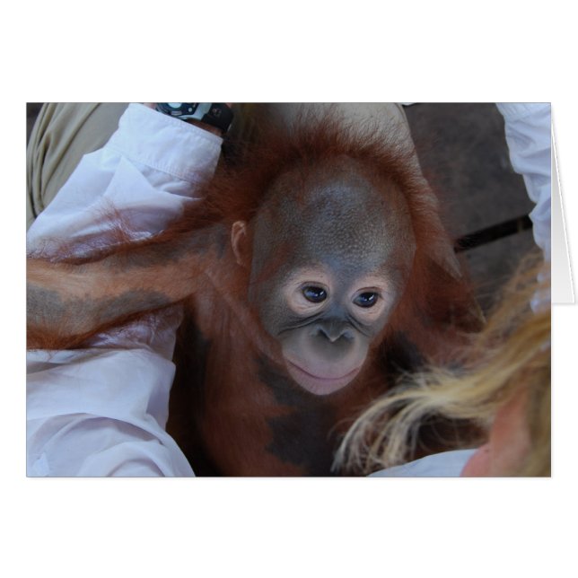 Promise to Wildlife Orphans (Front Horizontal)