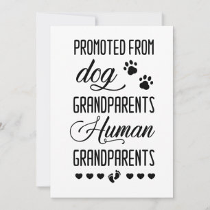 Promoted from dog grandparents to human, pregnancy thank you card