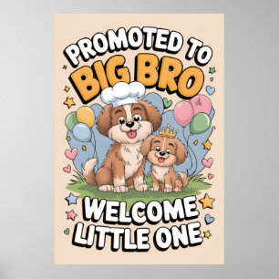 Promoted to Big Bro, Big Brother Poster
