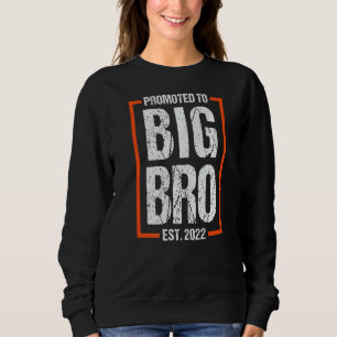 Promoted to Big Brother 2022 Big Bro Soon to be Bi Sweatshirt