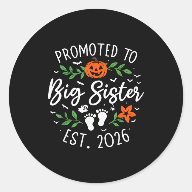 Promoted To Big Sister 2026 Pregnancy Announcement Classic Round Sticker (Front)