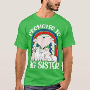 Promoted to Big Sister American 4th of July Women T-Shirt