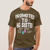 Promoted To Big Sister Est 2022 Gender Reveal Pink