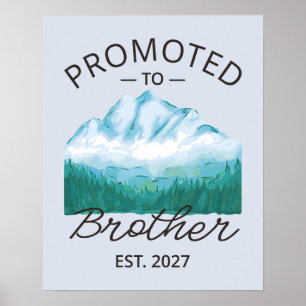 Promoted To Brother Est 2027 Big Brother VI Poster