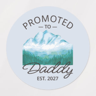 Promoted To Daddy Est 2027 New Dad Announcement VI
