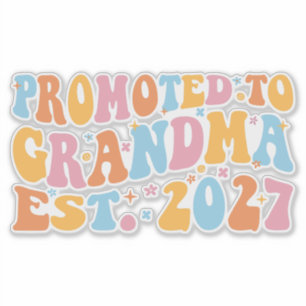Promoted To Grandma Est 2027 New Nana