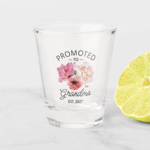 Promoted To Grandma Est 2027 New Nana VI Shot Glass