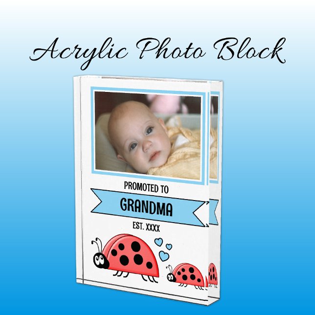 Promoted to grandma ladybugs blue photo block (Creator Uploaded)