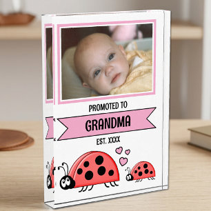 Promoted to grandma ladybugs pink photo block