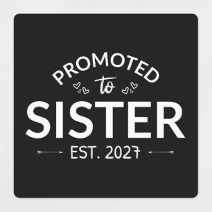 Promoted To Sister Est 2027 Big Sister II