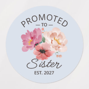 Promoted To Sister Est 2027 Big Sister VI