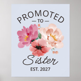 Promoted To Sister Est 2027 Big Sister VI Poster