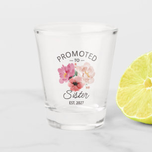 Promoted To Sister Est 2027 Big Sister VI Shot Glass