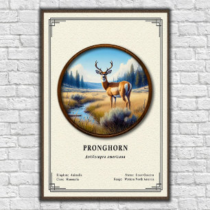 Pronghorn (American Antelope) Zoology Series Poster