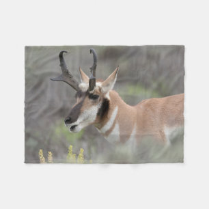 Pronghorn Antelope Buck   Grand Tetons Fleece Blanket