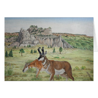 Pronghorn Antelope  Wildlife Art
