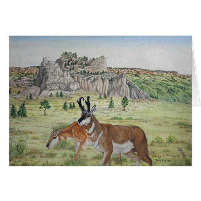 Pronghorn Antelope  Wildlife Art (Front Horizontal)