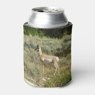Pronghorn at Grand Teton National Park Can Cooler
