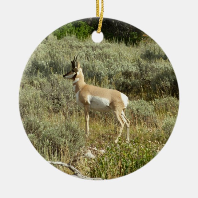 Pronghorn at Grand Teton National Park Ceramic Tree Decoration (Front)