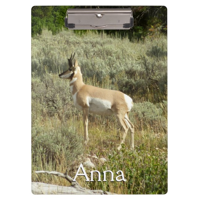 Pronghorn at Grand Teton National Park Clipboard (Front)