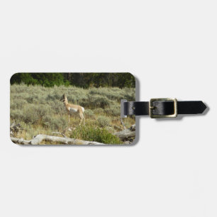 Pronghorn at Grand Teton National Park Luggage Tag