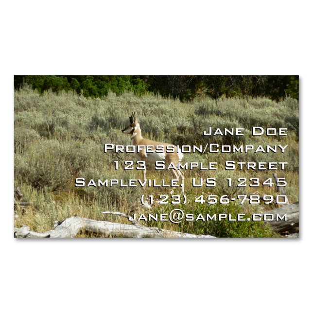 Pronghorn at Grand Teton National Park Magnetic Business Card (Front)
