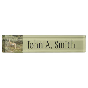 Pronghorn at Grand Teton National Park Nameplate