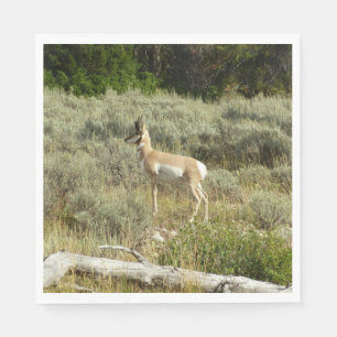 Pronghorn at Grand Teton National Park Napkin