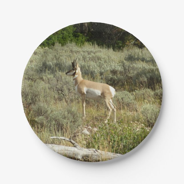 Pronghorn at Grand Teton National Park Paper Plate (Front)