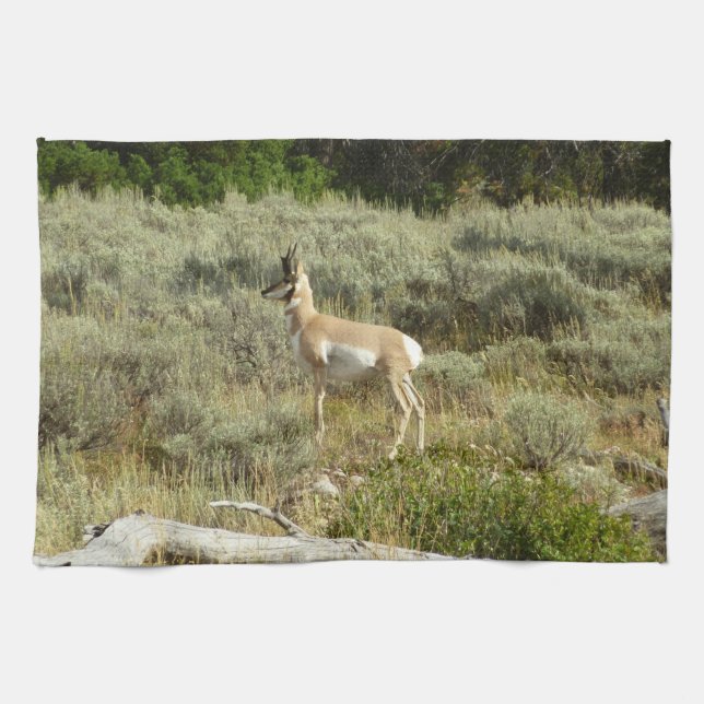 Pronghorn at Grand Teton National Park Tea Towel (Horizontal)