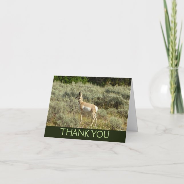Pronghorn at Grand Teton National Park Thank You Card (Front)