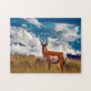 Pronghorn Deer Montana. Jigsaw Puzzle
